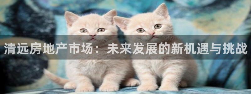 天狮娱乐能赚钱吗：清远房地产市场：未来发展的新机遇与挑战