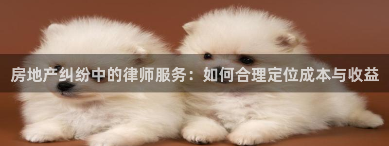 天狮娱乐非法吗：房地产纠纷中的律师服务：如何合理定位成本与收
