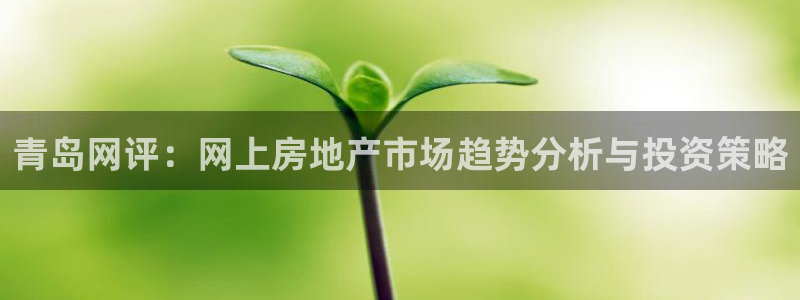 天狮娱乐_99399天神_加扣C：青岛网评：网上房地产市场趋