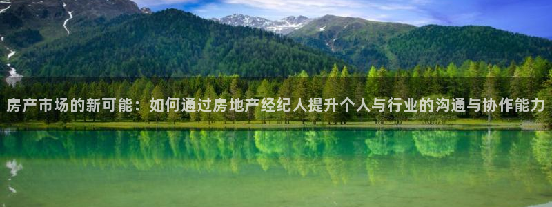 天狮娱乐代理是谁：房产市场的新可能：如何通过房地产经纪人提升