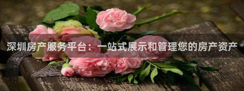 天狮娱乐返点：深圳房产服务平台：一站式展示和管理您的房产资产