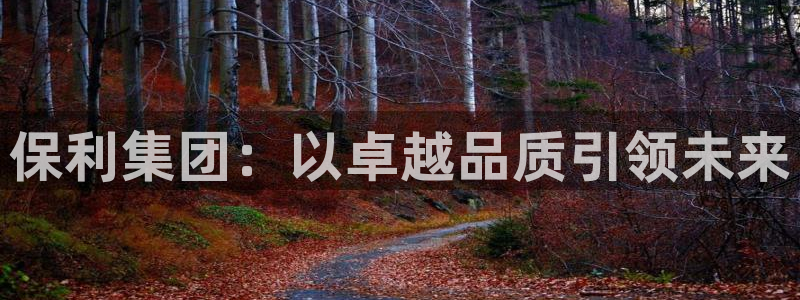 天狮娱乐- 0 招a商：保利集团：以卓越品质引领未来
