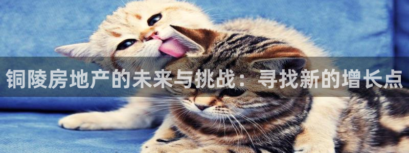 天狮娱乐 a招商67646：铜陵房地产的未来与挑战：寻找新的