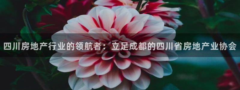 南京天狮娱乐会所：四川房地产行业的领航者：立足成都的四川省房