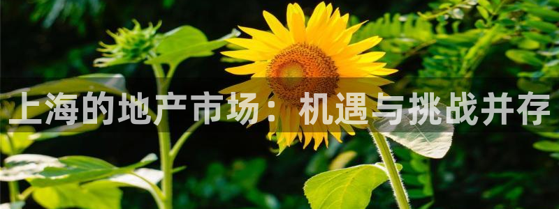 如何成为天狮娱乐的会员：上海的地产市场：机遇与挑战并存