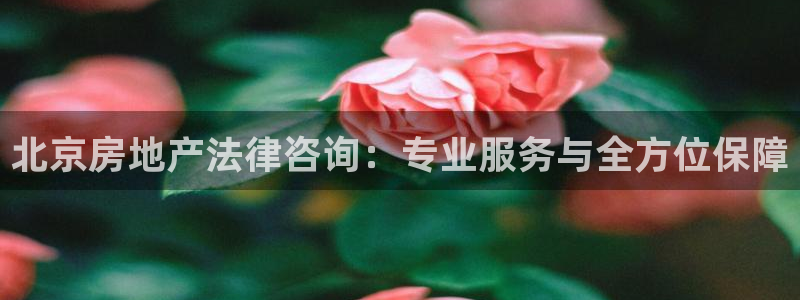 天狮娱乐a.主管57661：北京房地产法律咨询：专业服务与全