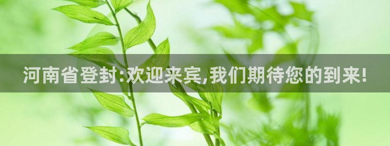 天狮娱乐返点：河南省登封:欢迎来宾,我们期待您的到来!