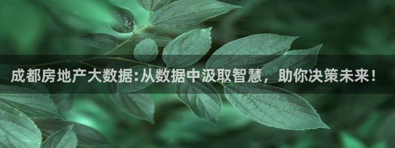 天狮娱乐分分彩平台：成都房地产大数据:从数据中汲取智慧，助你