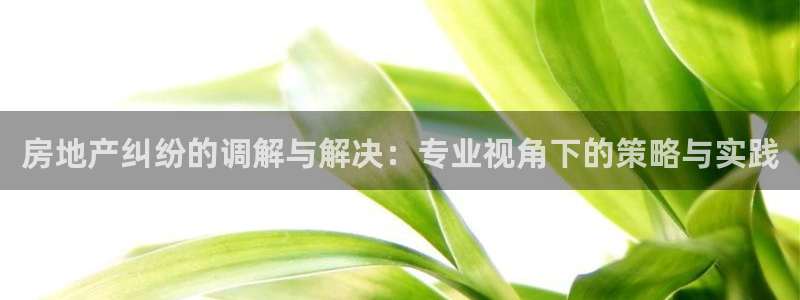 天狮娱乐b OO判官：房地产纠纷的调解与解决：专业视角下的策