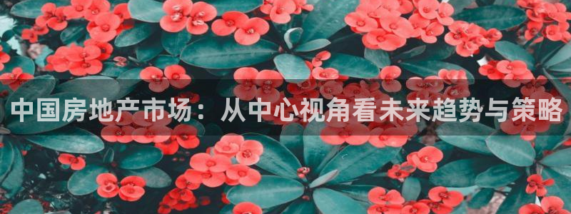 天狮娱乐最高待遇：中国房地产市场：从中心视角看未来趋势与策略