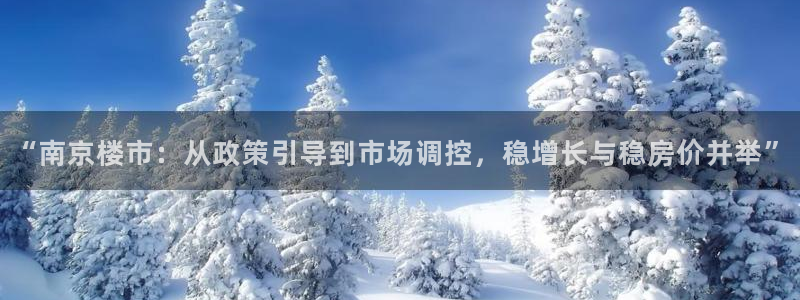 天狮娱乐学：“南京楼市：从政策引导到市场调控，稳增长与稳房价