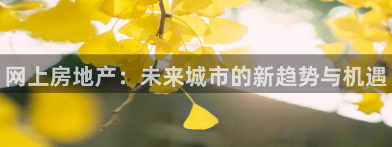 天狮娱乐电脑版：网上房地产：未来城市的新趋势与机遇