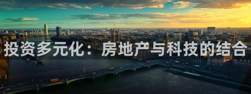 娱乐狮天：投资多元化：房地产与科技的结合