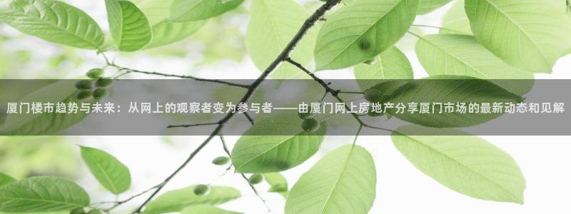 天狮娱乐如何注册代理：厦门楼市趋势与未来：从网上的观察者变为