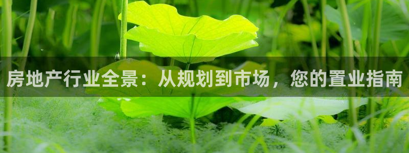 天狮娱乐a 判官：房地产行业全景：从规划到市场，您的置业指南