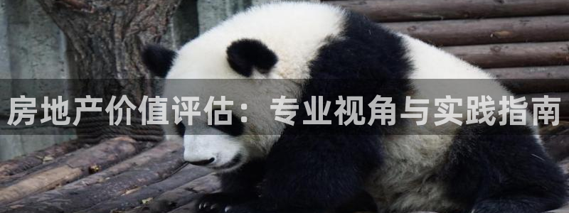天狮娱乐股东36633：房地产价值评估：专业视角与实践指南