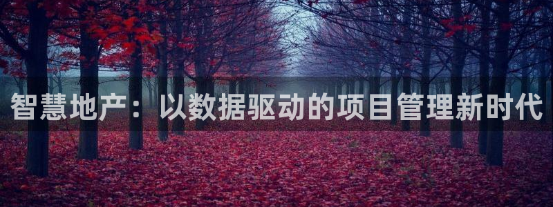 天狮娱乐分分彩平台：智慧地产：以数据驱动的项目管理新时代