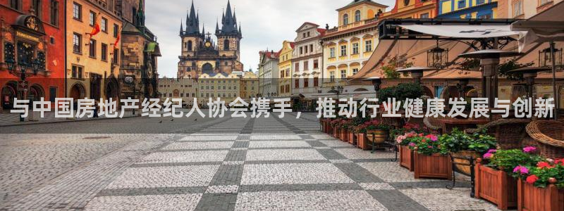 天狮娱乐问天神：与中国房地产经纪人协会携手，推动行业健康发展