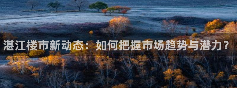 天狮娱乐代理找谁：湛江楼市新动态：如何把握市场趋势与潜力？
