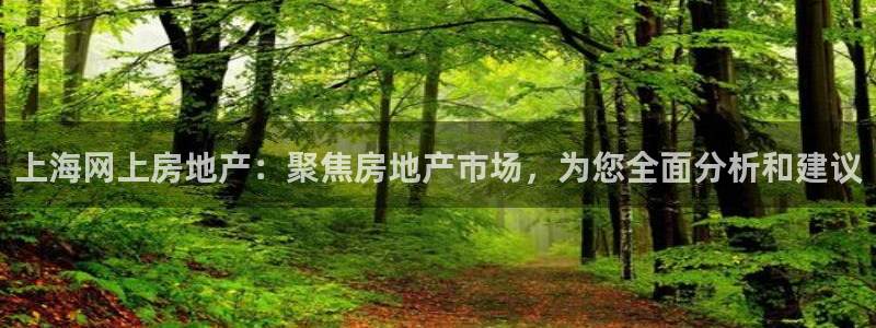 天狮娱乐多：上海网上房地产：聚焦房地产市场，为您全面分析和建