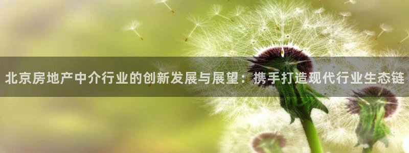 天狮娱乐代理注册：北京房地产中介行业的创新发展与展望：携手打