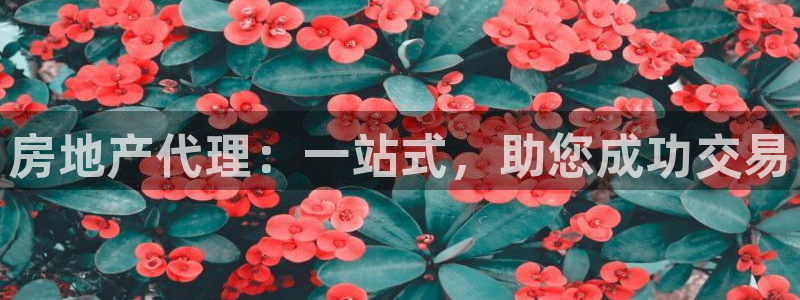 天狮娱乐平台：房地产代理：一站式，助您成功交易