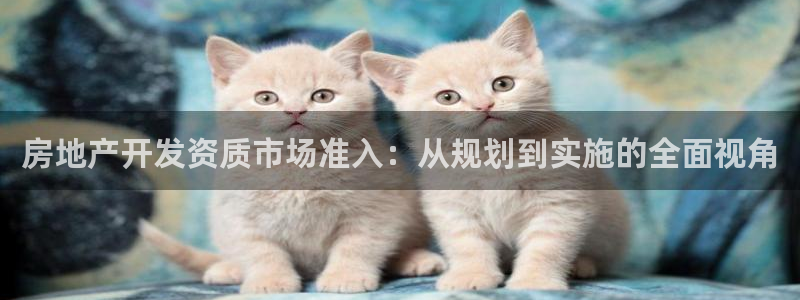天狮娱乐负：房地产开发资质市场准入：从规划到实施的全面视角