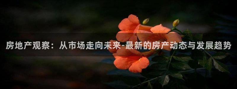天狮会娱乐会所图片：房地产观察：从市场走向未来-最新的房产动