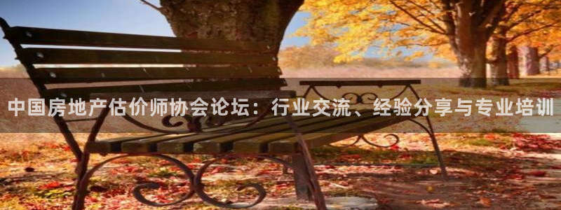 天狮娱乐平台多久：中国房地产估价师协会论坛：行业交流、经验分