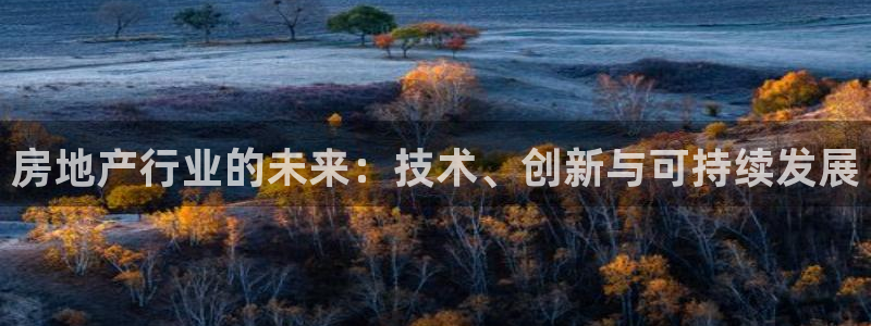 天狮娱乐c OO判官：房地产行业的未来：技术、创新与可持续发