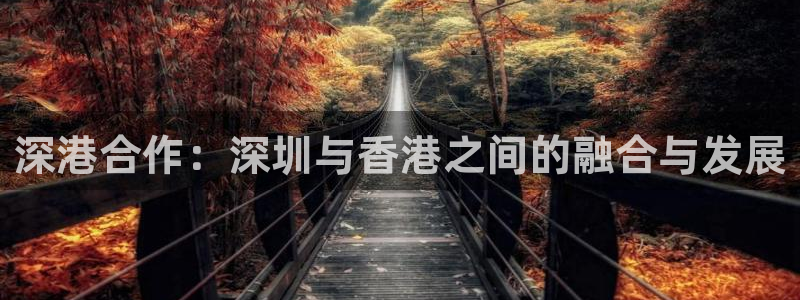 天狮娱乐会所：深港合作：深圳与香港之间的融合与发展