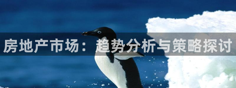 天狮娱乐是做什么的：房地产市场：趋势分析与策略探讨