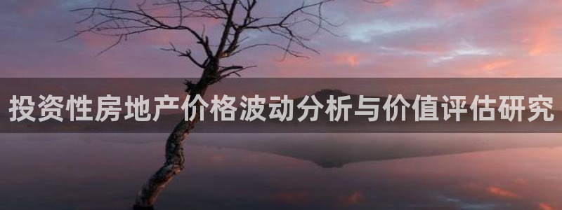 天狮娱乐会路吗：投资性房地产价格波动分析与价值评估研究