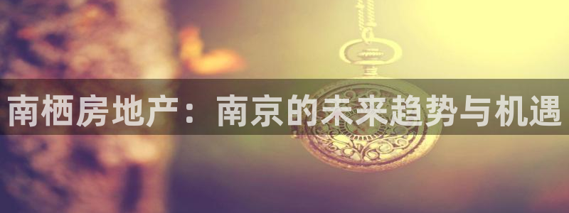 天狮天狮娱乐娱乐q：南栖房地产：南京的未来趋势与机遇