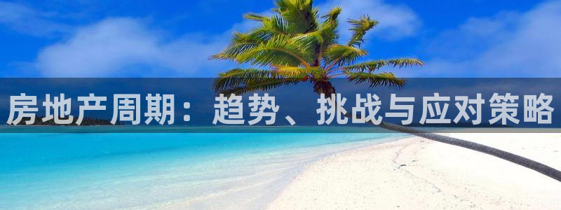 天狮娱乐登录网址：房地产周期：趋势、挑战与应对策略