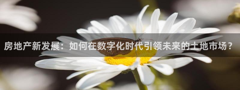 天狮娱乐注册官方网站：房地产新发展：如何在数字化时代引领未来