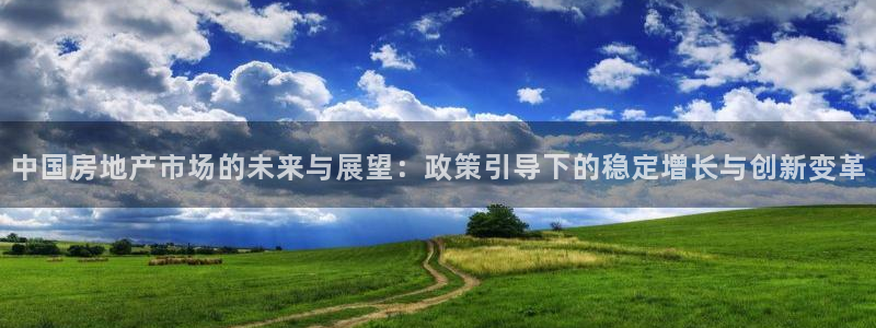 天狮娱乐 b运营61166：中国房地产市场的未来与展望：政策