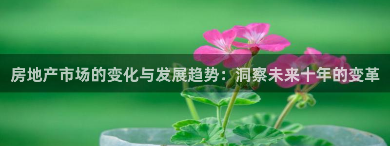 天狮娱乐怎么玩法：房地产市场的变化与发展趋势：洞察未来十年的