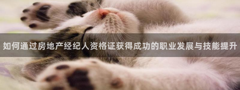 天狮娱乐平台招商：如何通过房地产经纪人资格证获得成功的职业发