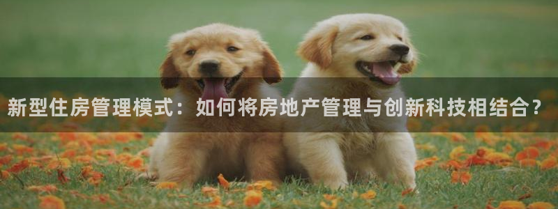 天狮娱乐 a内部29229：新型住房管理模式：如何将房地产管
