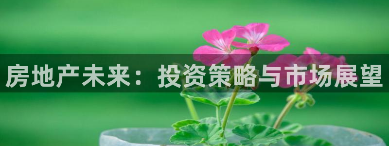 天狮娱乐负责人