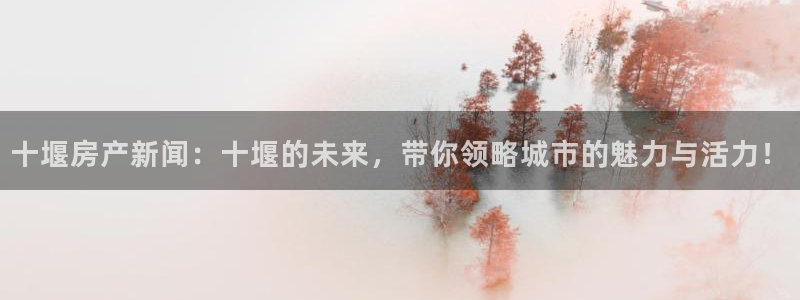 天狮娱乐如何注册代理：十堰房产新闻：十堰的未来，带你领略城市