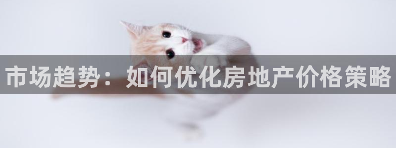 天狮娱乐q39096s：市场趋势：如何优化房地产价格策略