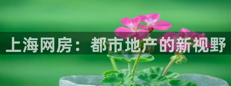 天狮娱乐行：上海网房：都市地产的新视野