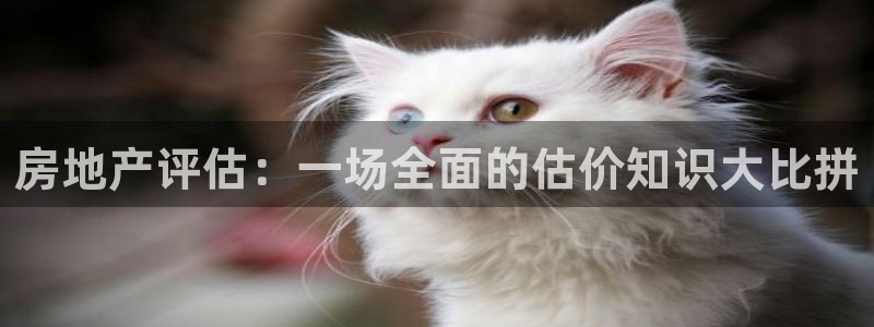 天狮娱乐网站：房地产评估：一场全面的估价知识大比拼