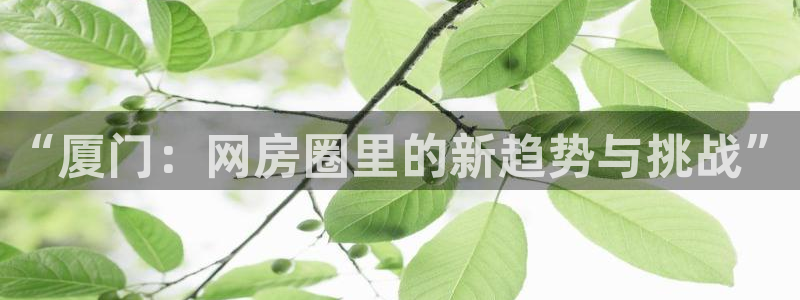 天狮娱乐负责：“厦门：网房圈里的新趋势与挑战”