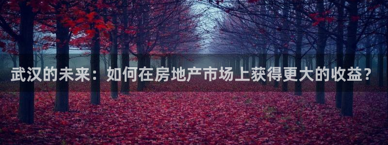 天狮娱乐购彩：武汉的未来：如何在房地产市场上获得更大的收益？