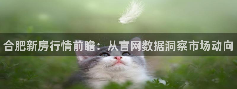 天狮娱乐v1.0.3app下载：合肥新房行情前瞻：从官网数据