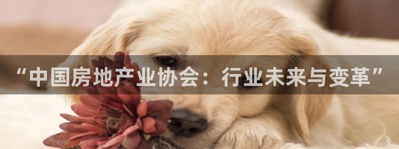 天狮娱乐所：“中国房地产业协会：行业未来与变革”