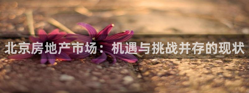 天狮学院娱乐设施：北京房地产市场：机遇与挑战并存的现状